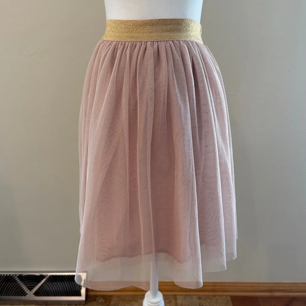 Gap Kids Girls Large 10 Regular Pink Tulle Skirt